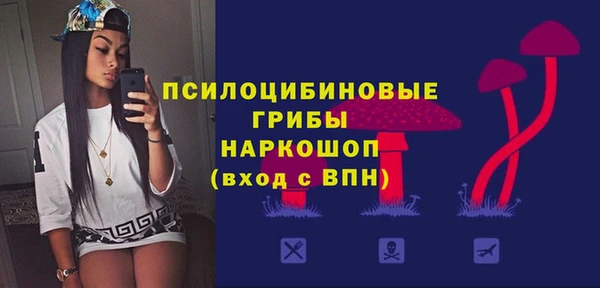 прущий лед Алзамай