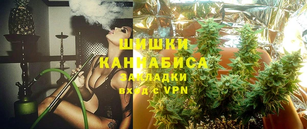 прущий лед Алзамай