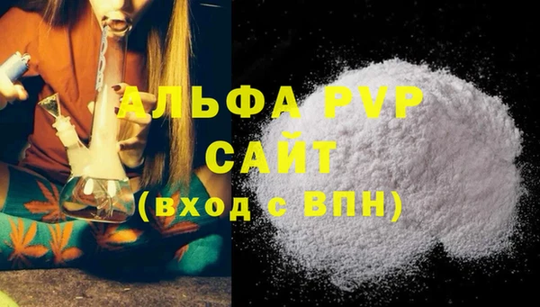 стаф Алексин