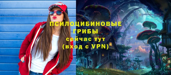 стаф Алексин