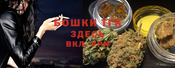 прущий лед Алзамай