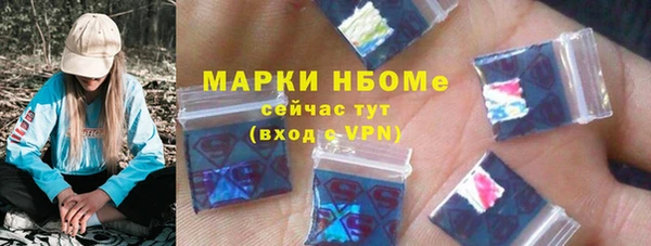 прущий лед Алзамай