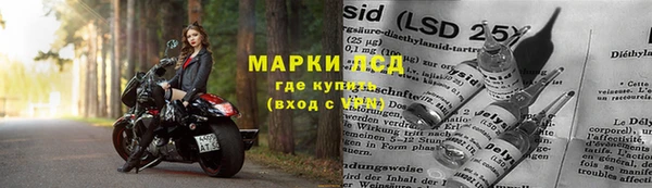 прущий лед Алзамай