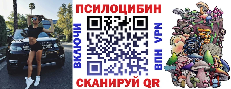 купить наркотики цена  Гдов  Галлюциногенные грибы Psilocybine cubensis 