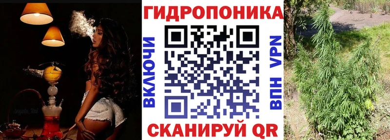 Бошки Шишки планчик  Гдов 